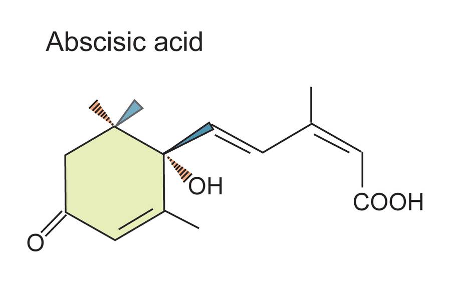 structural formula for Abscisic acid