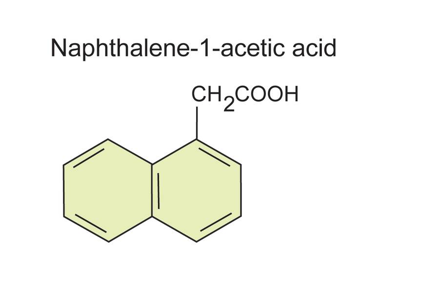 Image of the structural formula of naphthalene-1-acetic acid.