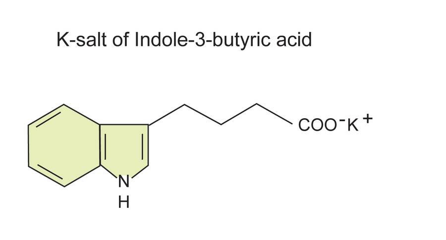 Image of the structural formula of k-salt of indole-3-butyric acid.