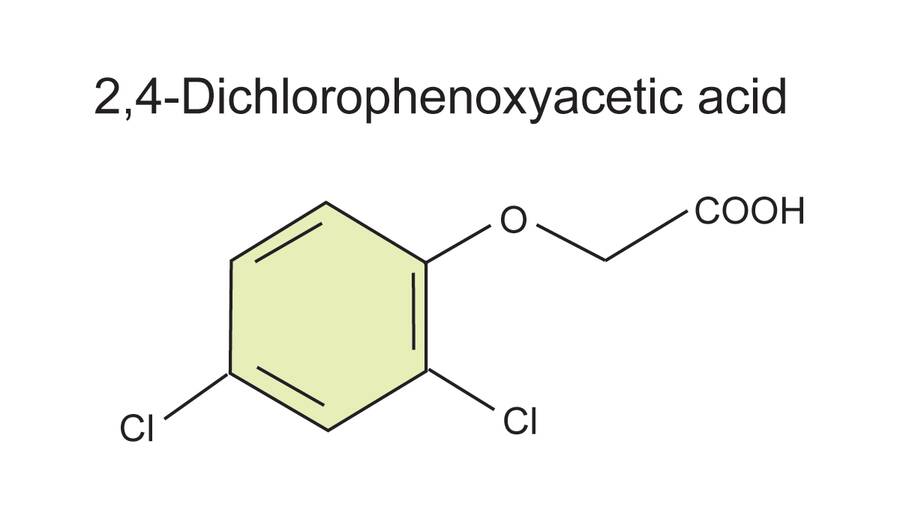 Image of the structural formula of 2, 4-dichlorophenoxyacetic acid.