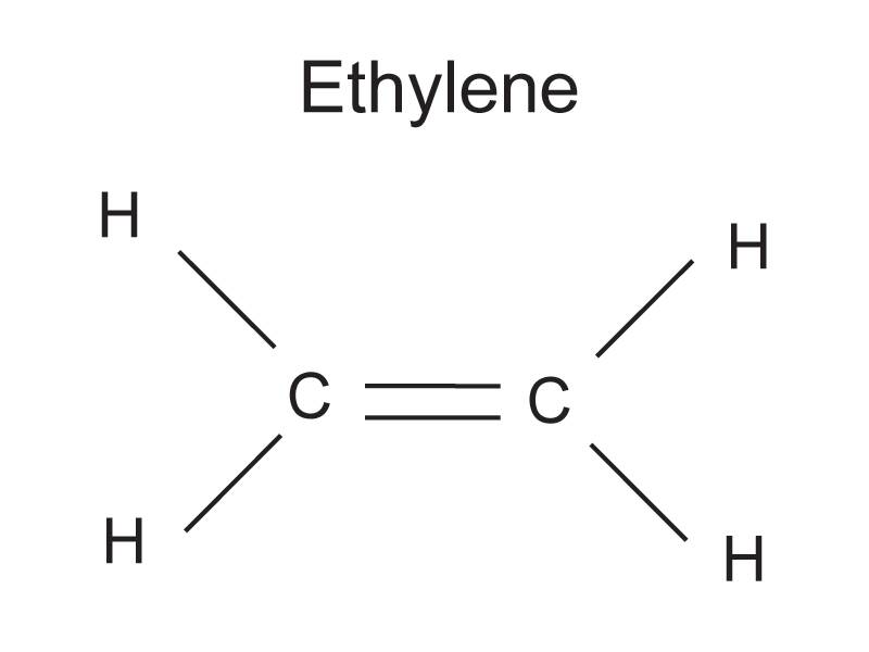 Image of the structural formula for ethylene.