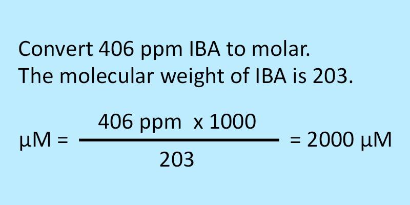 Convert 406 ppm IBA to molar. The molecular weight of IBA is 203. μM = 406 ppm x 1000 divided by 203 = 2000 μM