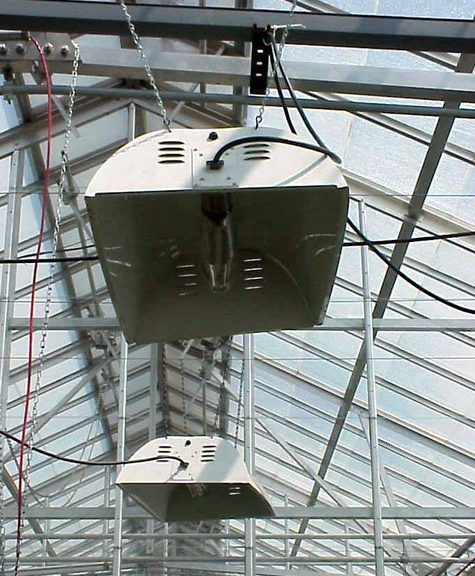 Photo of rectangular high intensity discharge lamps in a greenhouse.