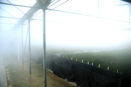 Photo of fogging system.
