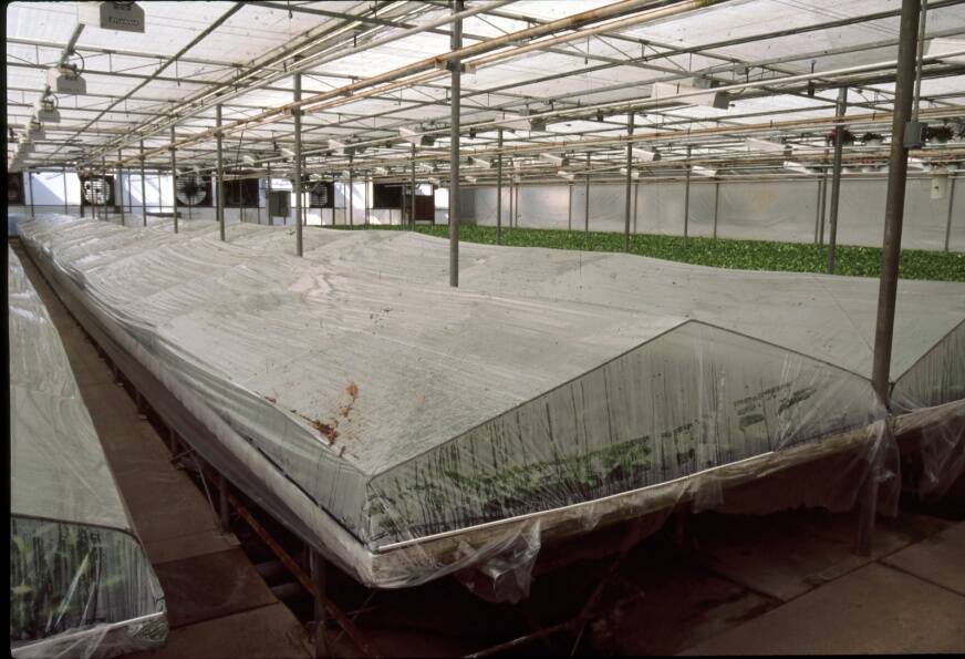 Photo showing a poly tent system.