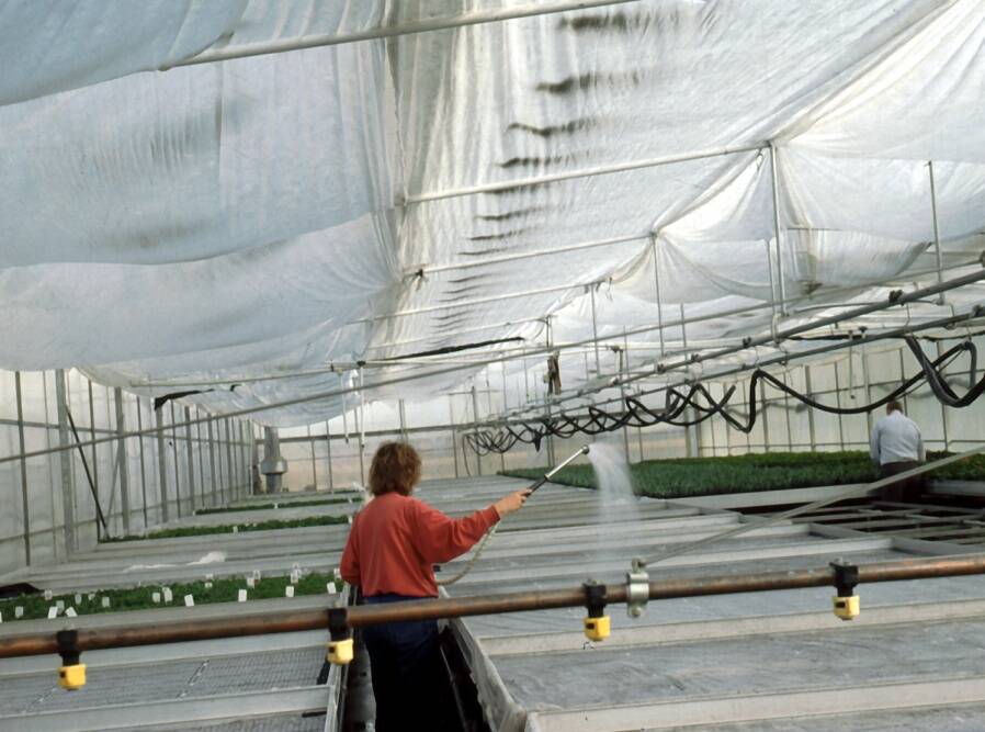 Photo showing overhead watering by hand.