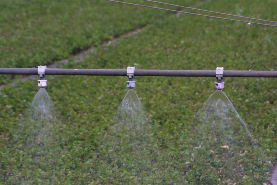 Photo of movable boom irrigation.