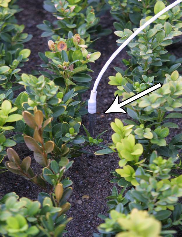 Photo showing a thermal couple inserted into propagation medium.