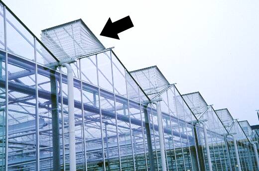 Photo of a greenhouse showing screening over vents.