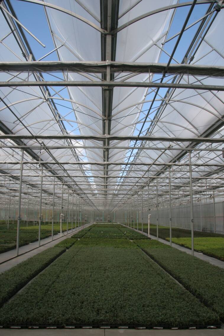 Photo of a greenhouse with an open roof.