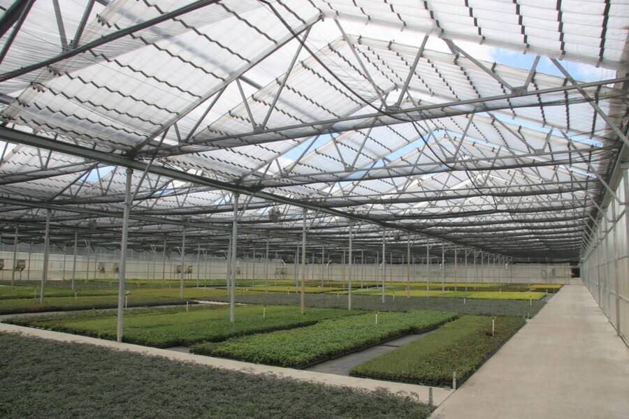 Interior photo of a retractable roof greenhouse.