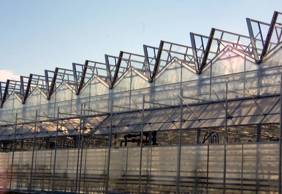 Greenhouse shown with with retracted roof.