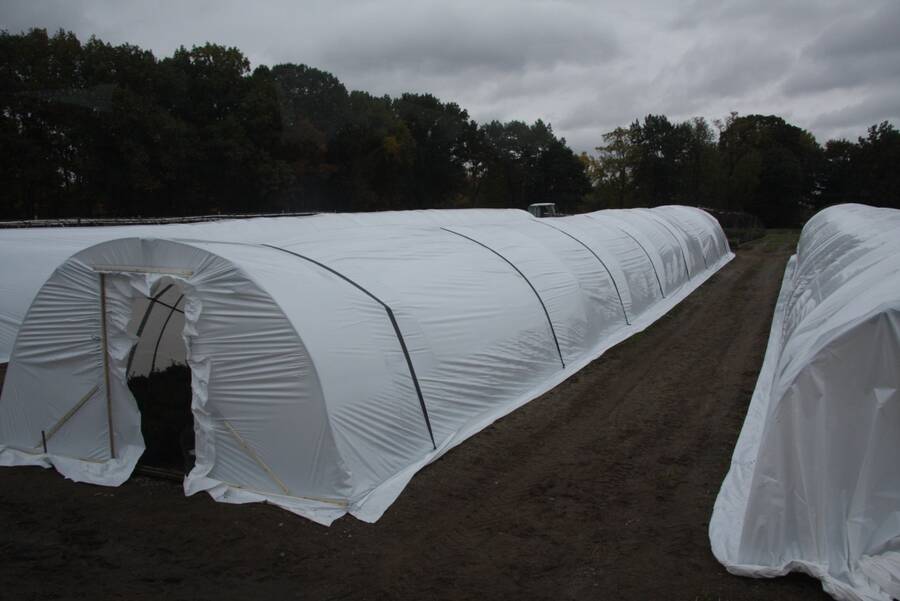 Photo of overwintering greenhouses with white polyethylene.