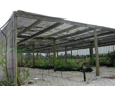 Photo showing a wooden lath house.