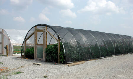 Photo of an arch style plastic covered shade house.