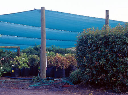 Photo of a flat topped plastic shade house.