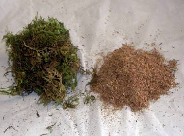 Photo showing course and shredded sphagnum.