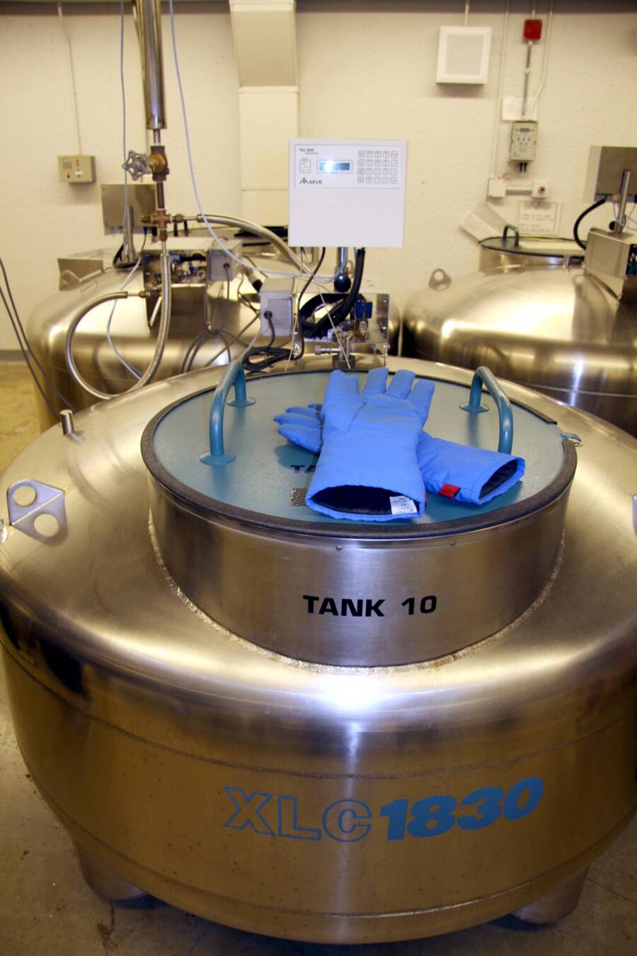 Photo of a liquid nitrogen tank for cryopreservation.