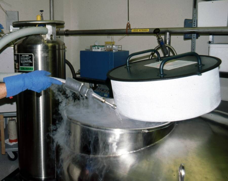 Photo of a cryopreservation unit.