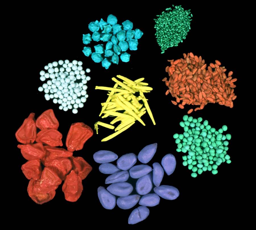 photo of small piles of various types of seeds with different brightly colored film coatings