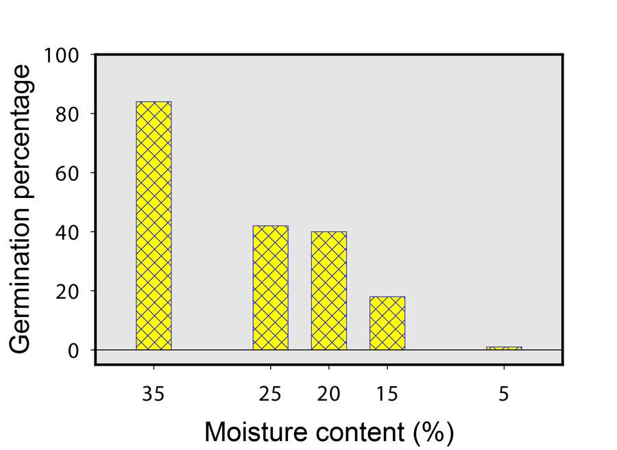 Graph showing germination percentage of pawpaw in comparison with moisture content percentage.