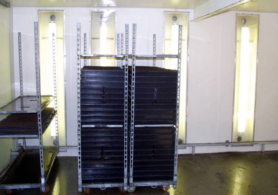 Photo showing a controlled germination room.