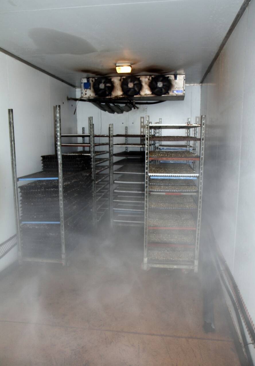 Photo of a controlled germination room with racks of plug trays.