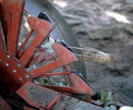 Detail photo of the cones with a plant inserted.