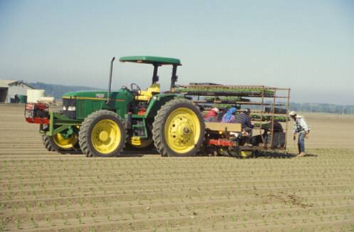 Photo of a tractor with workers moving transplants from flats into cones.