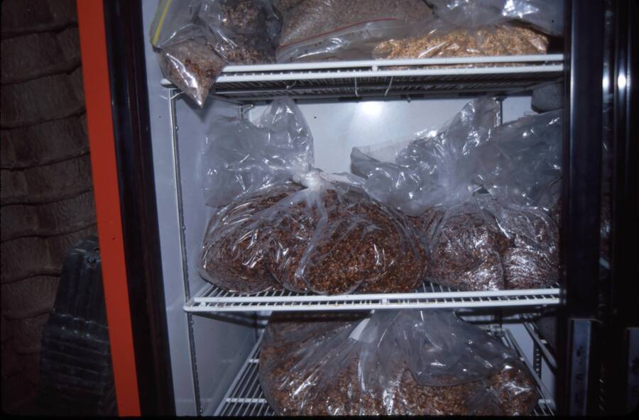 Photo of seeds being stored in a refrigerator.