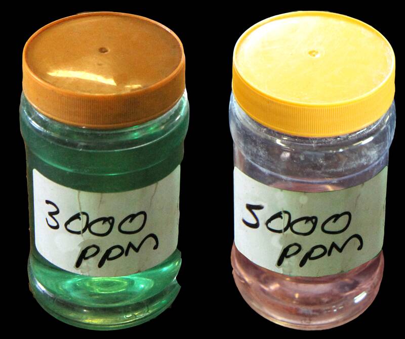 Quick dip auxin solutions color-coded with food coloring dye.