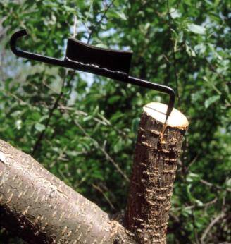 Photo of a wedge being used to split the top of a stub.