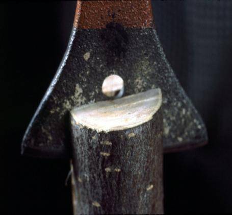 Close up photo showing a wedge splitting a stub.