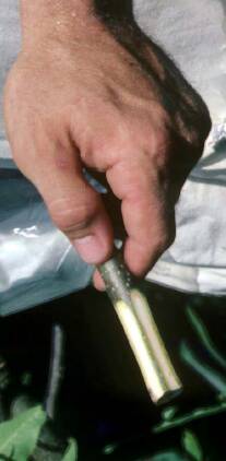 Photo of a scion showing cuts made on all four sides of the end to be placed atop the rootstock.