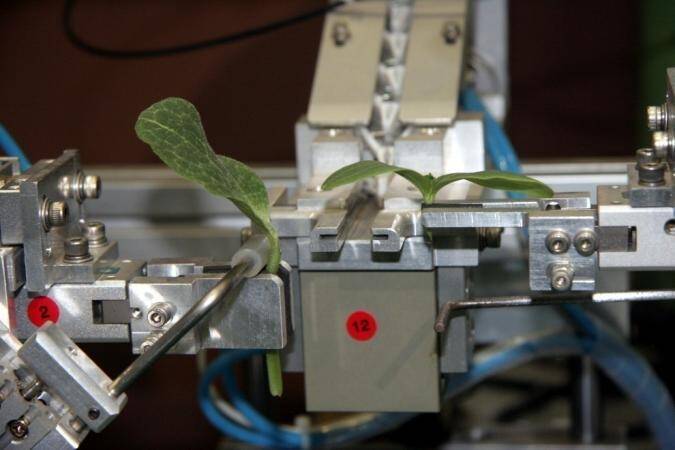 Close up photo of grafting robot.