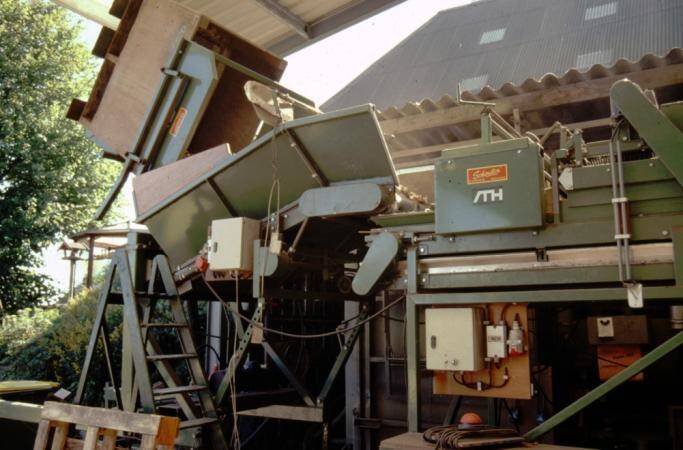 Photo of a conveyer where bulbs are dumped to be moved to a sorting table.