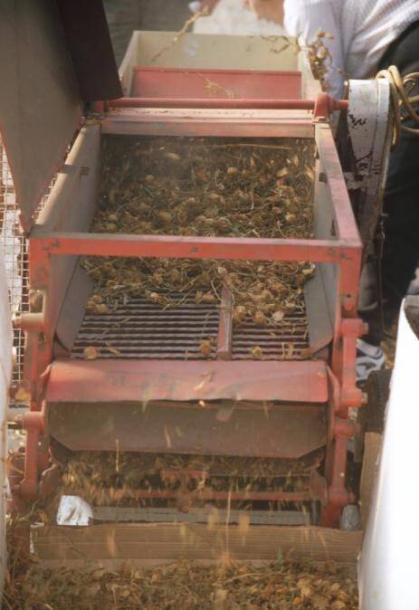 Photo of seeds being extracted from fruit in an extraction machine.