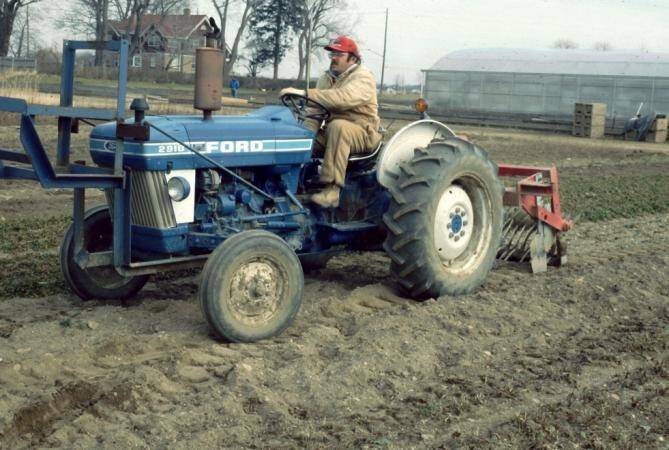 Photo of a tractor with a modified potato digger digging up peony tuberous roots.