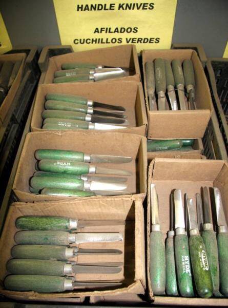 Photo of boxes of knives used for division propagation.
