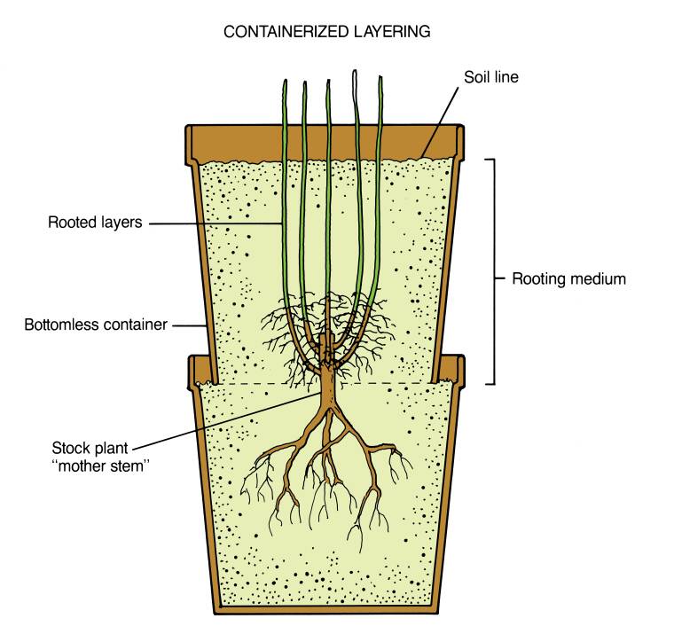 layering-a-comprehensive-guide