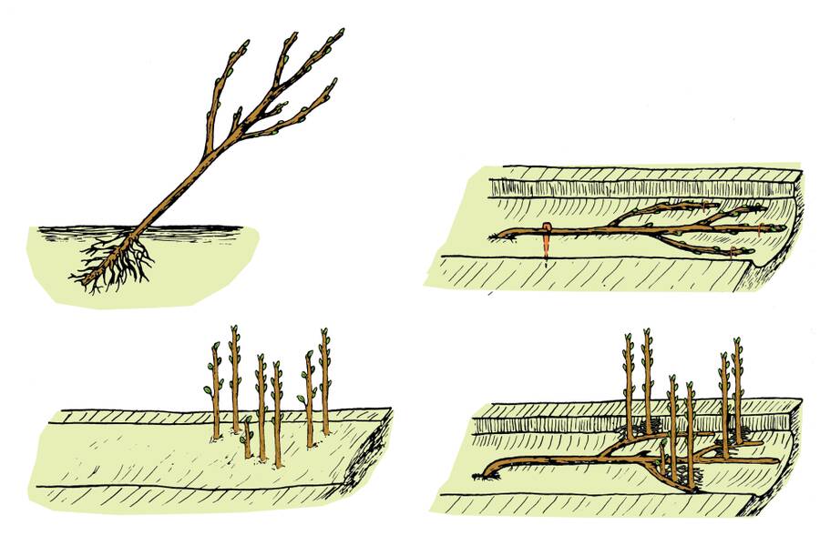 Illustration showing four key steps of trench layering.