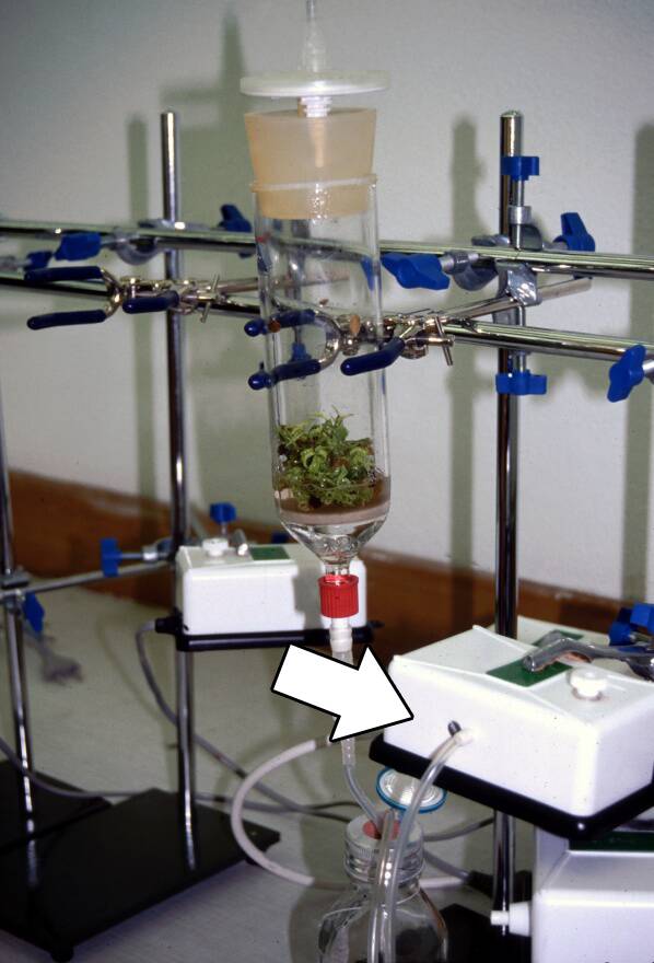 Photo of a temporary immersion bioreactor system with the pump pointed out.