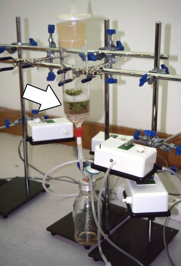 Photo of a temporary immersion bioreactor system with medium being pumped into the bioreactor being pointed out.