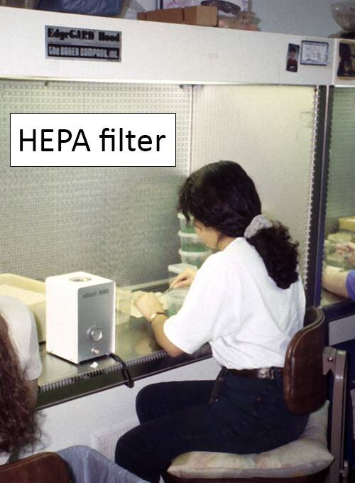 Photo of a technician working under a laminar flow hood with a HEPA filter.