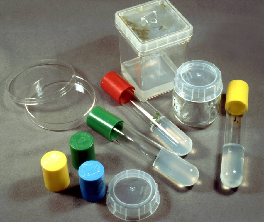 Photo showing a variety of examples of tissue culture containers.